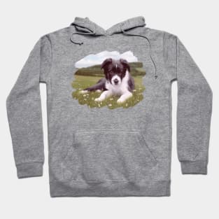 Border Collie Painting Hoodie